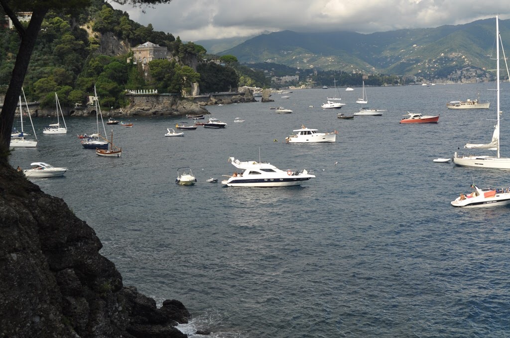 60F63BE9-02A4-4D3D-B664-A70C620232D2