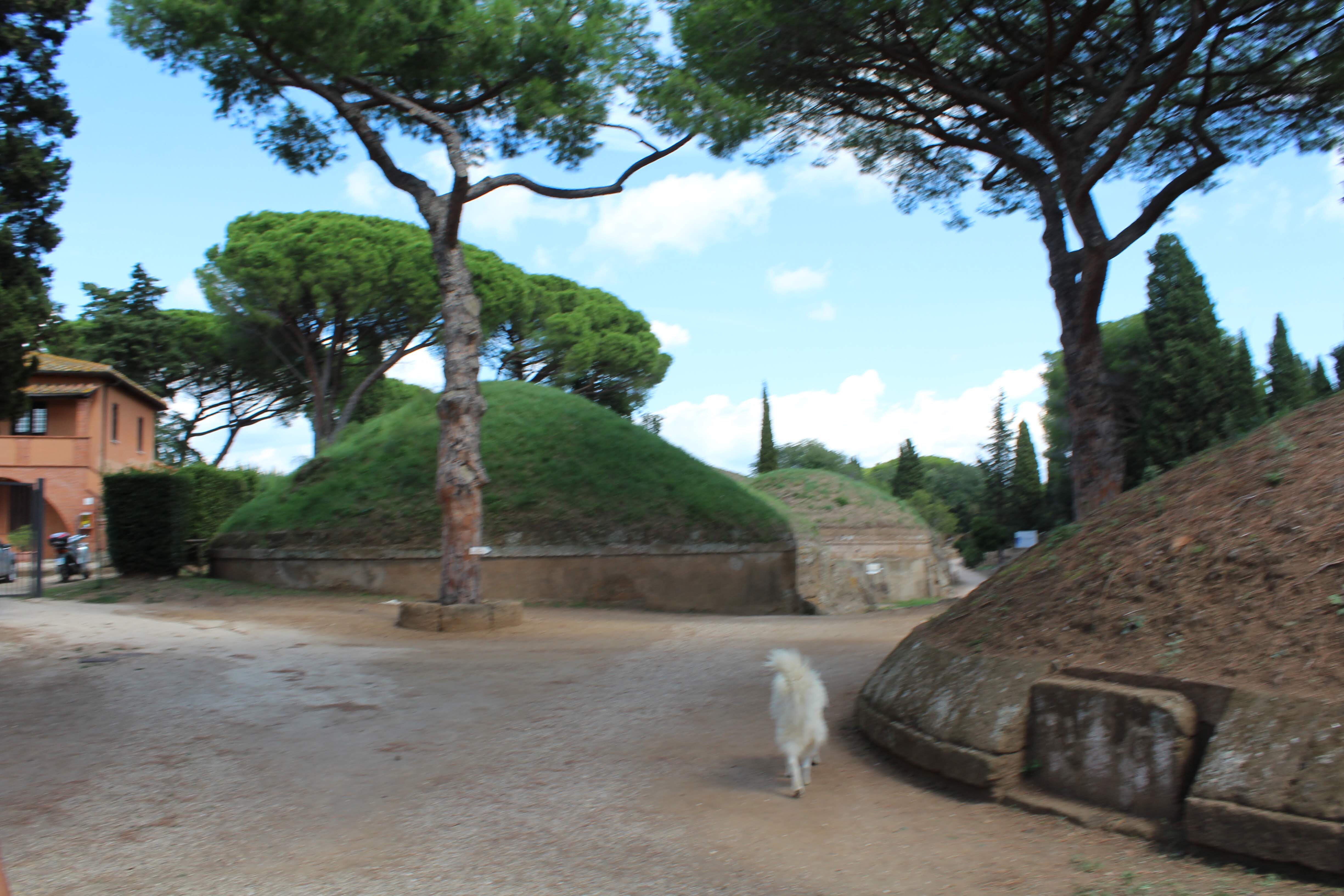 0356756A-2AC9-4399-B311-15394FECA289