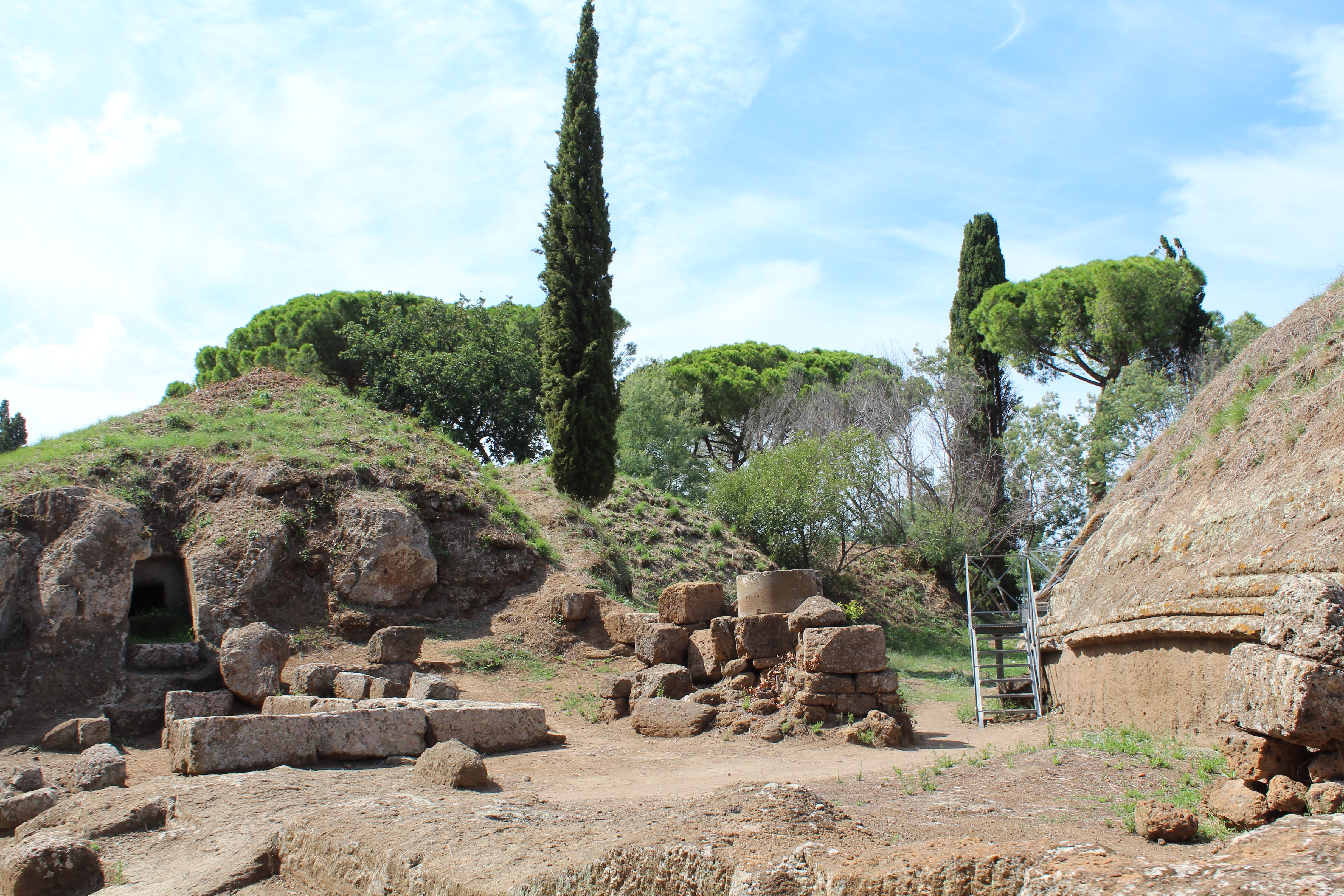 1A5D8BBA-E858-4AB9-AF2A-09618AF20D73