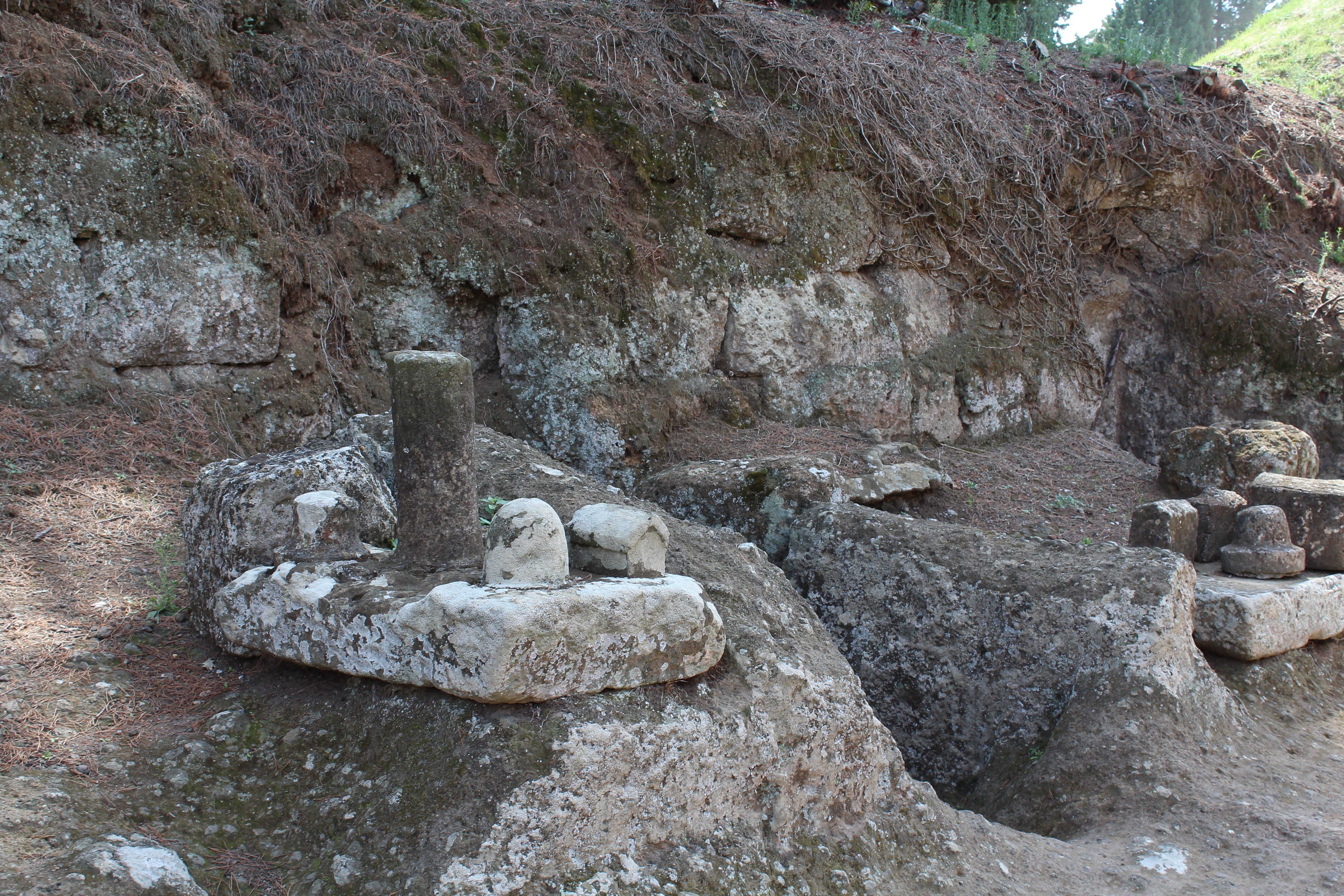 47666A18-A8FF-46EA-B62C-B93310AACAED