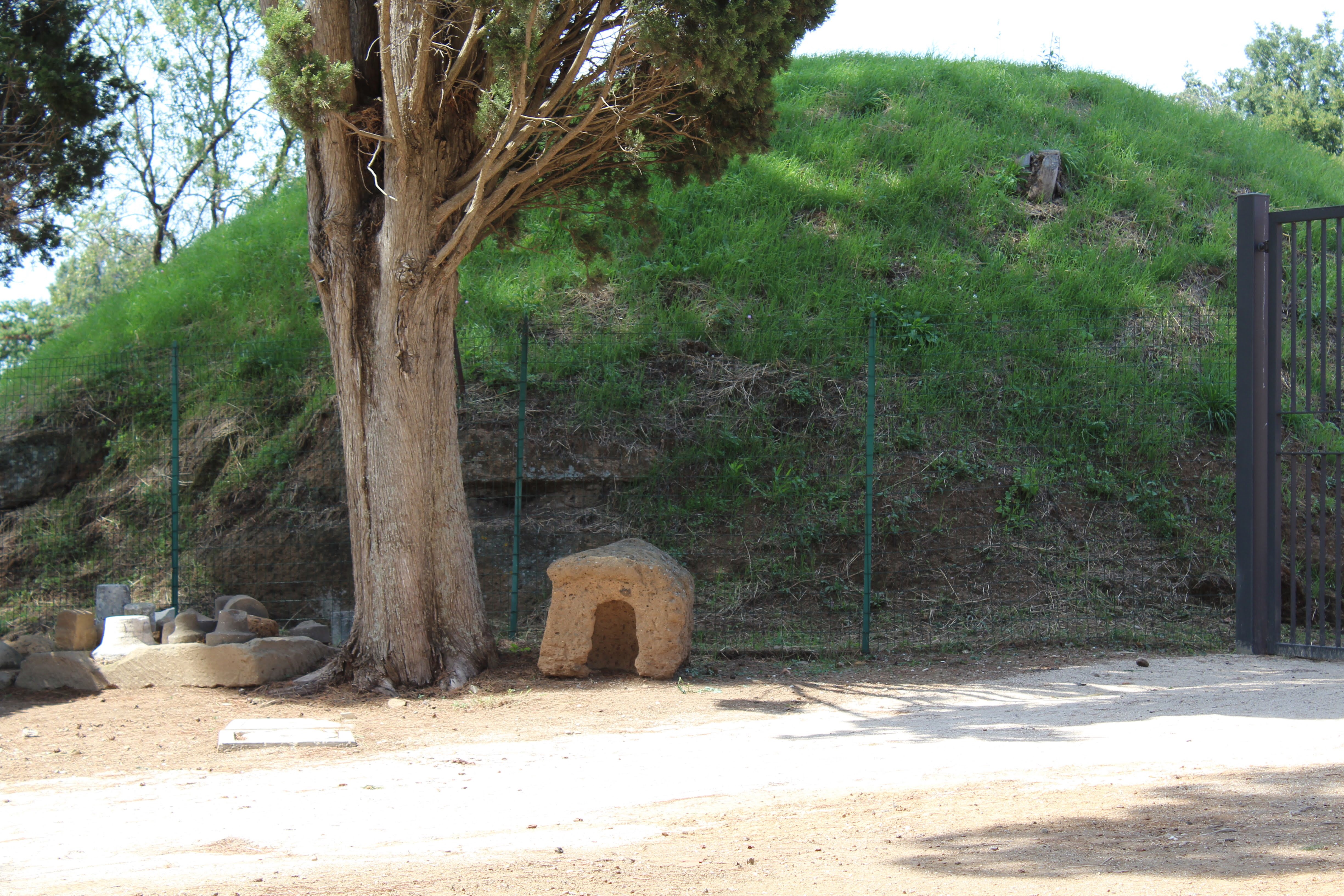 4AFE1275-74E1-48D1-A99A-7EB46CF86159