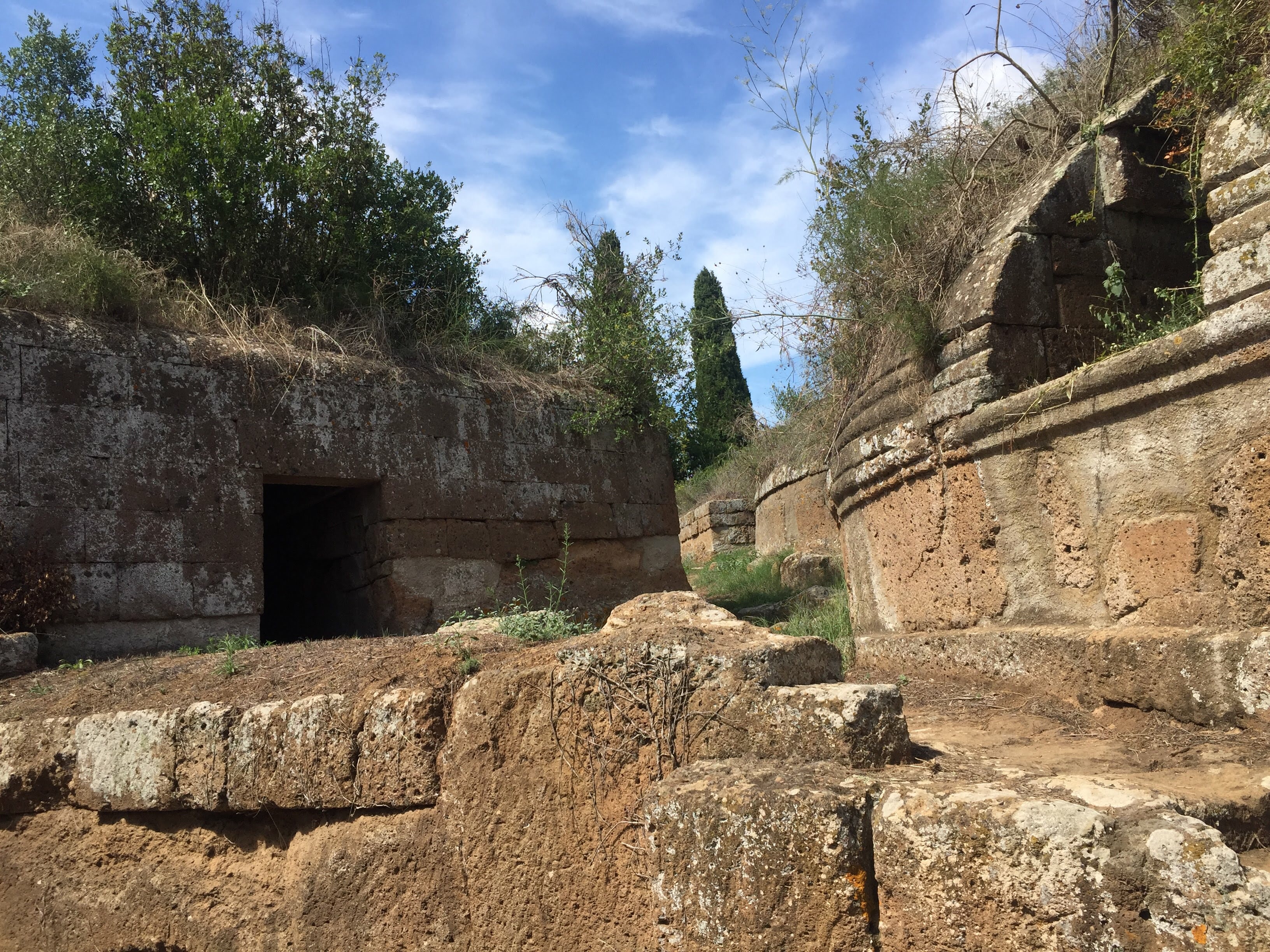 5F3D534F-2907-479C-9765-18A00E4F1313