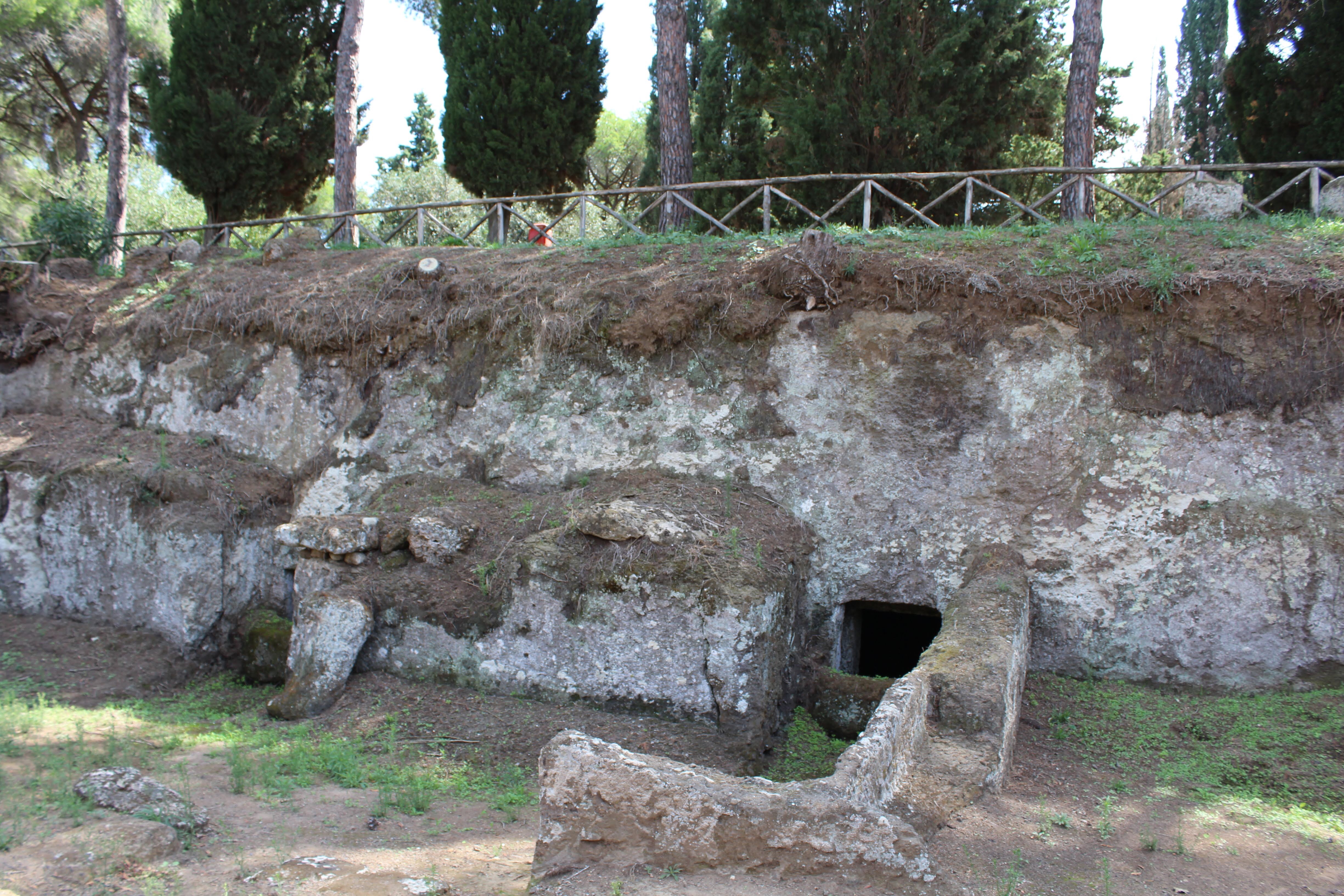 6C66006A-52FD-4C1B-B073-948D5B458666