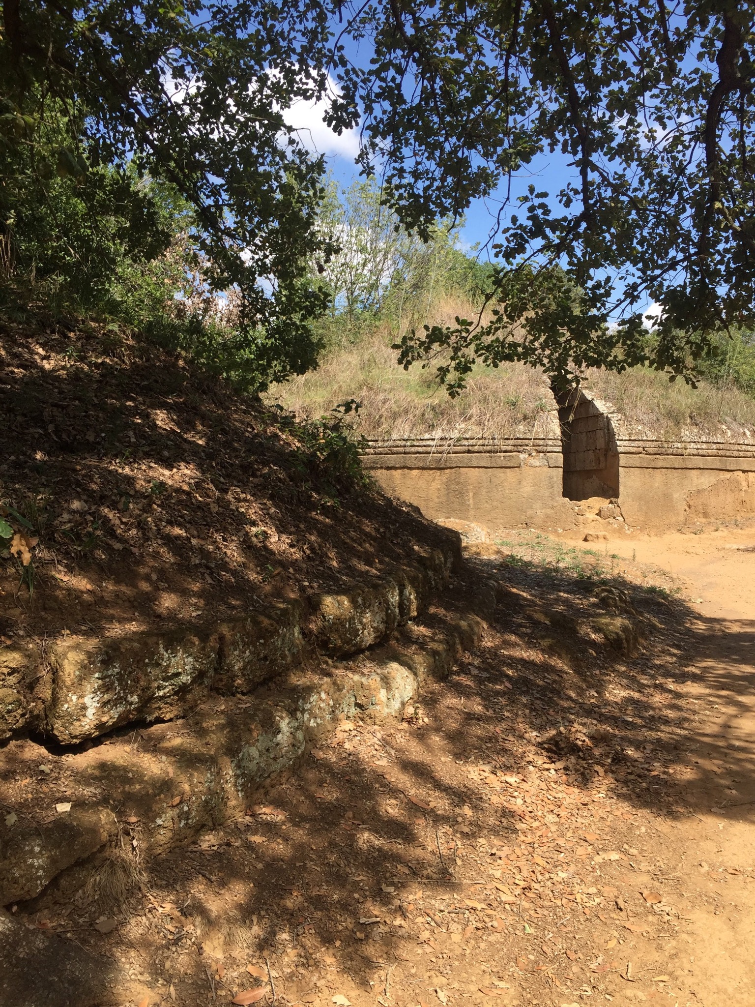 6E729C4E-E7A6-4DDE-815A-83E1598FEF31