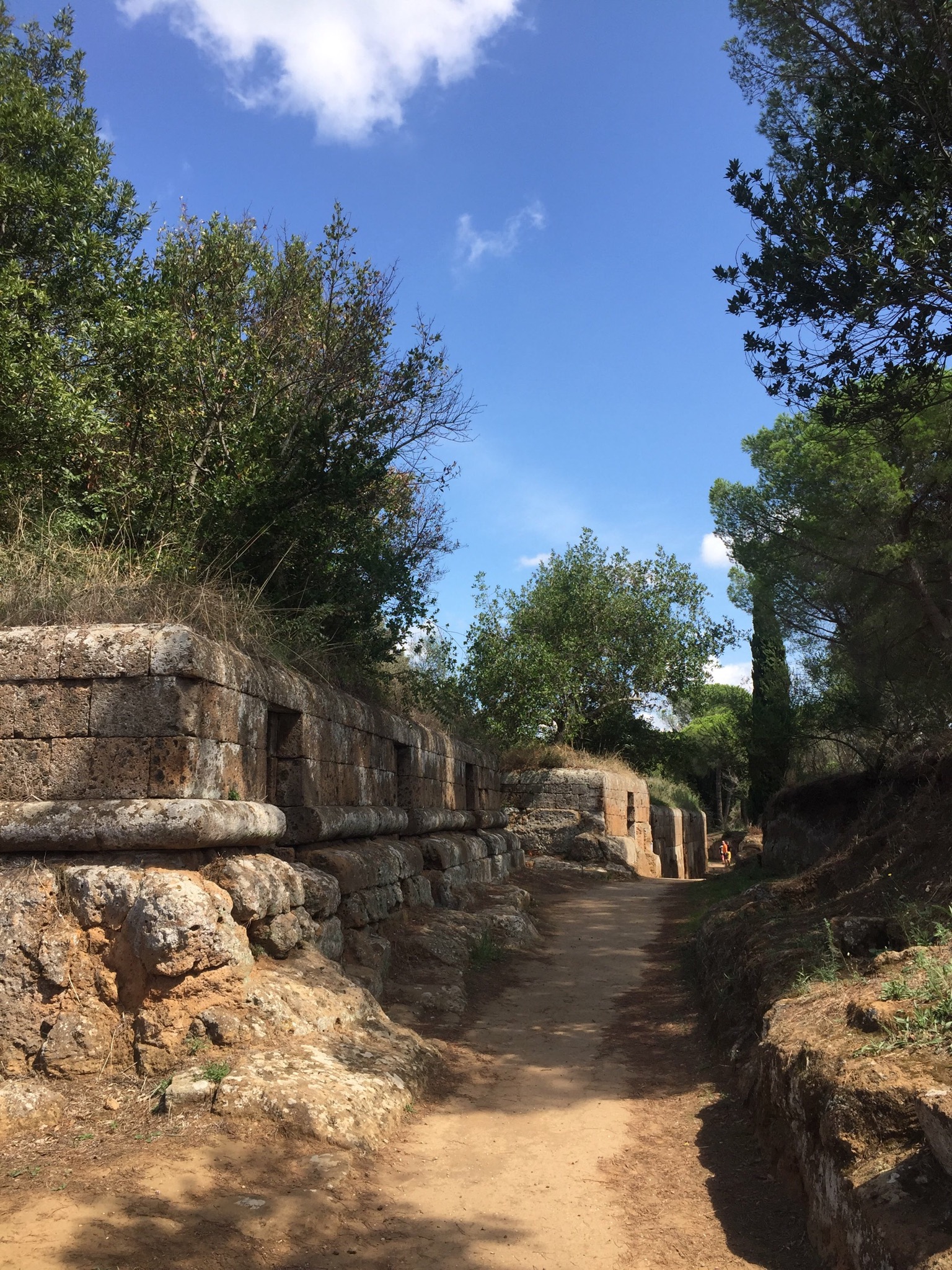 6F359F70-BBC8-4615-944B-4AF97FED07F5