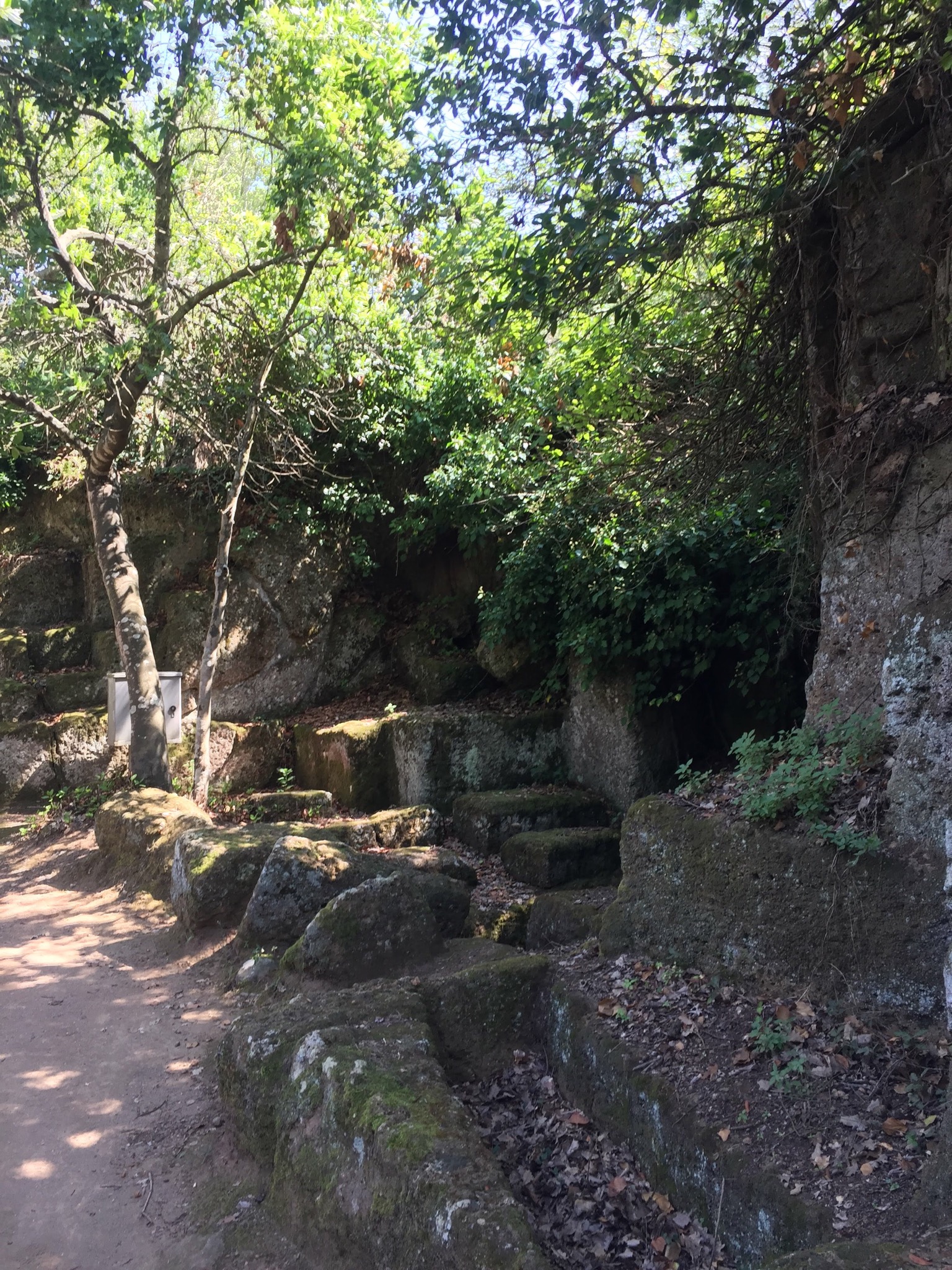 77F5339F-9A1A-4859-A632-DD38274D4A6F