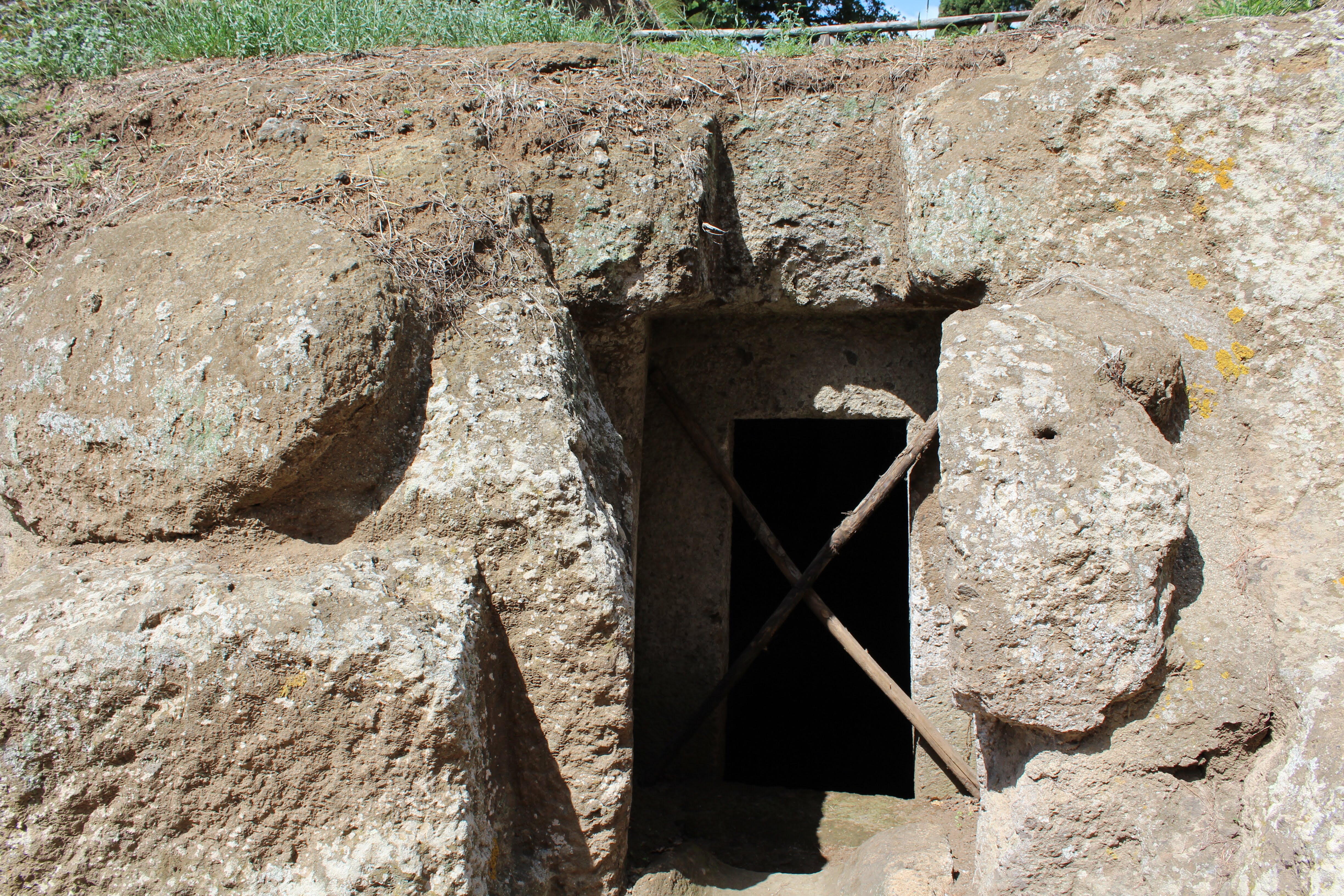 BEFC08DE-16BA-479D-9DF4-8FBB762457D8