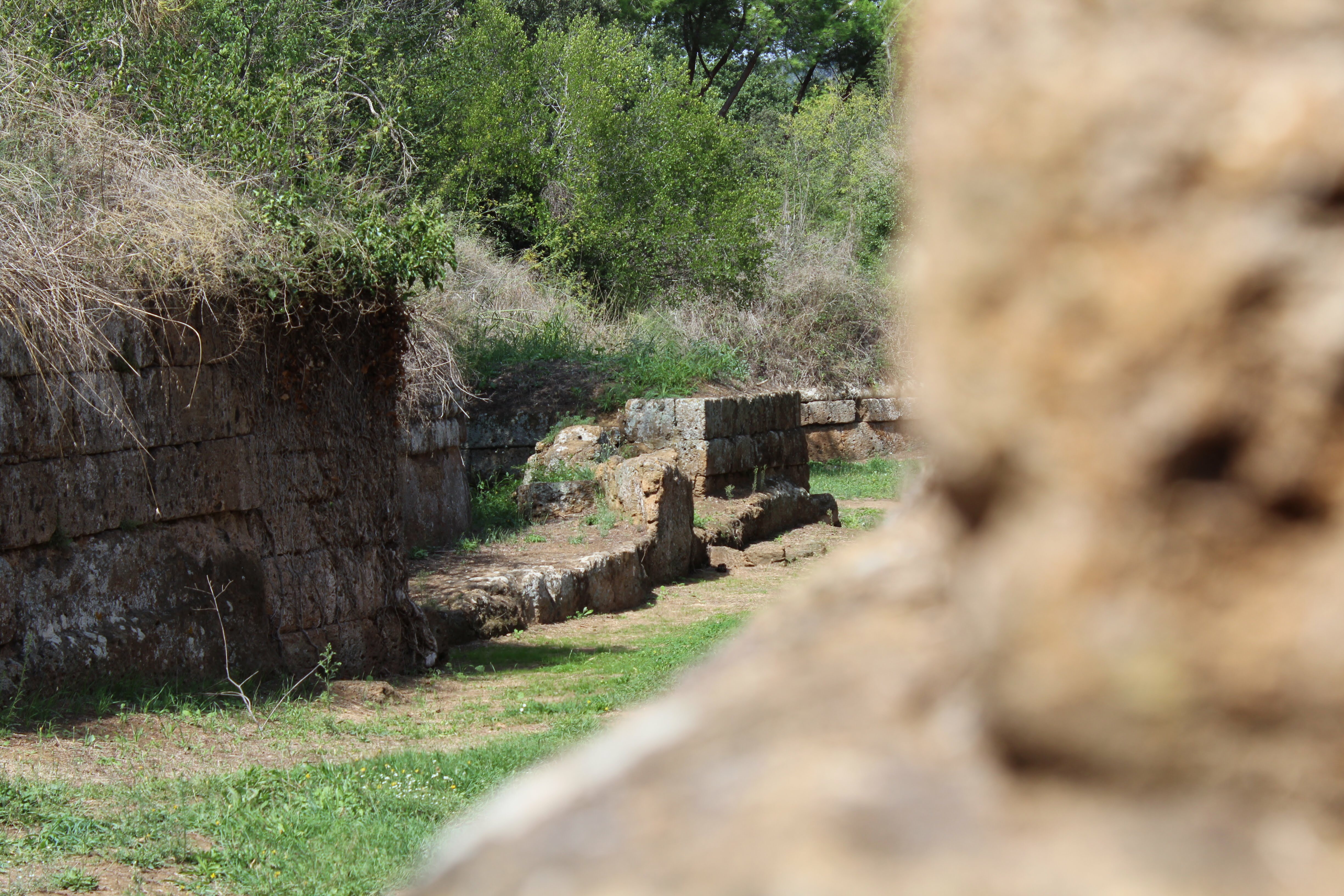 C5CB7404-96C8-400A-B695-181028CFEC2A