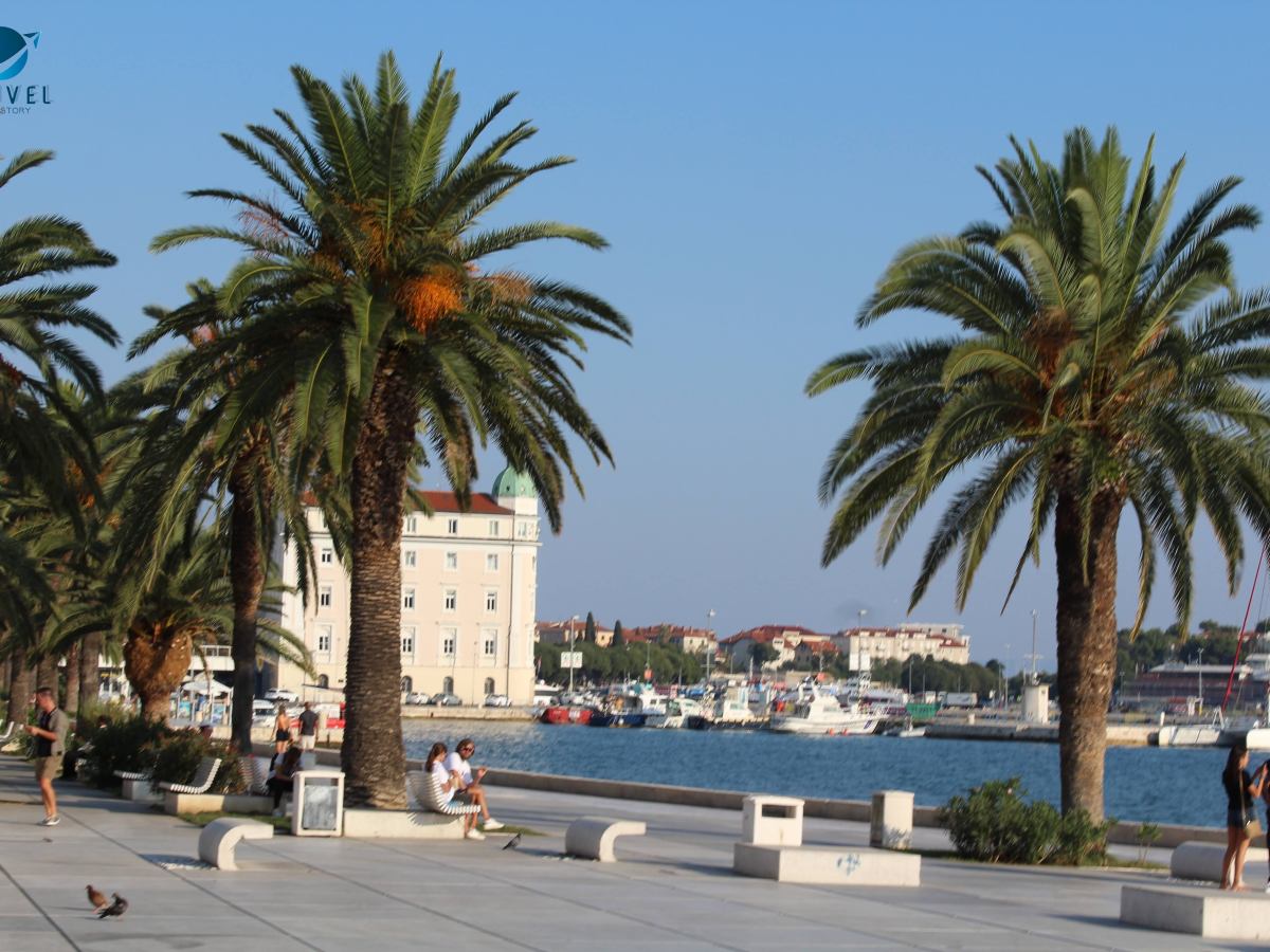 КАРТИЧКИ ОТ СПЛИТ