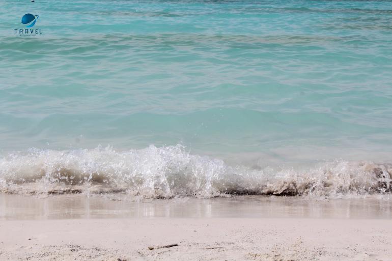 ТОКСИЧЕН ЛИ Е БЕЛИЯТ ПЛАЖ В ТОСКАНА? ИСТИНАТА ЗА SPIAGGE&nbsp;BIANCHE